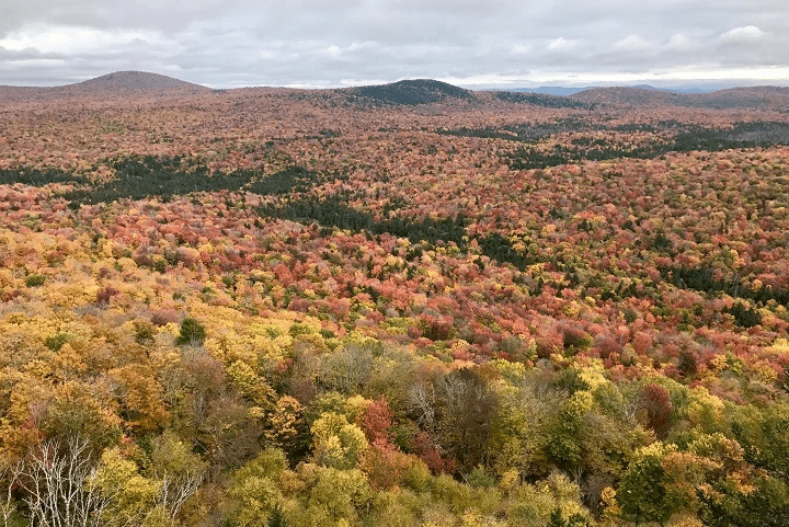Groton State Forest, (c) J. Murdoch Groton State Forest, (c) J. Murdoch