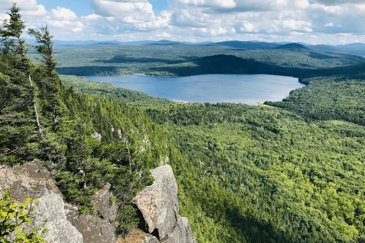 Vermont forest, (c) J. Murdoch Vermont forest, (c) J. Murdoch