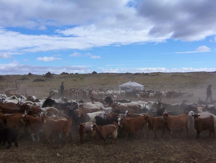 Herder ger camp, (c) J. Murdoch Herder ger camp, (c) J. Murdoch