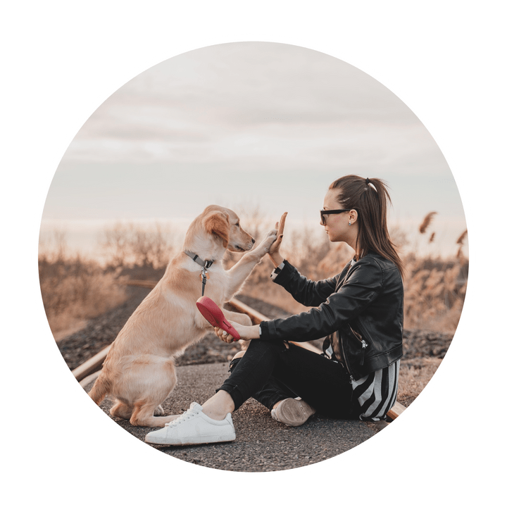 Responsible pet owner Responsible pet owner