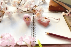 2019高校入試合格体験記 2019高校入試合格体験記