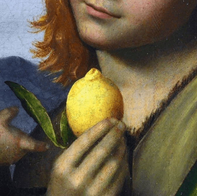 Limoni Naturali Toscana Lucca Frulloncello Limoni Naturali Toscana Lucca Frulloncello