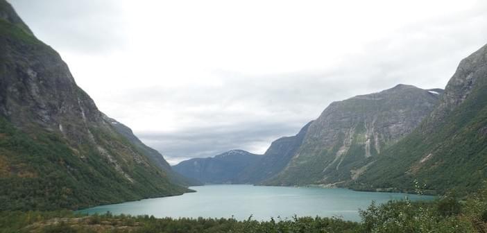 Section image