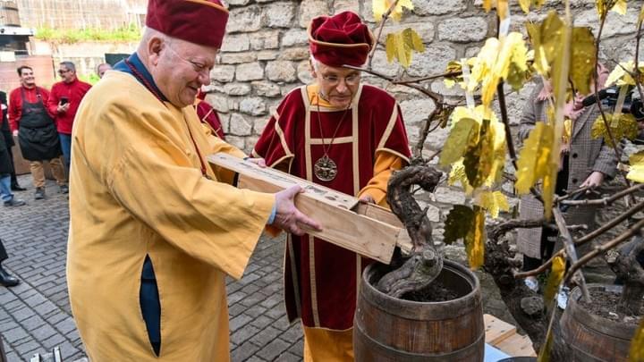 Confrérie Issy Les Moulineaux Confrérie Issy Les Moulineaux