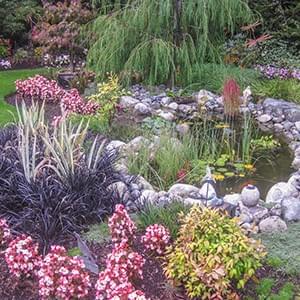 Section image