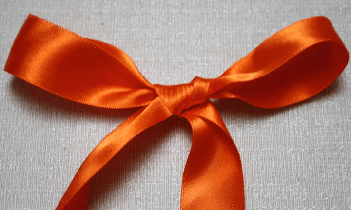 Professional Dog Training - Gift Cards Professional Dog Training - Gift Cards