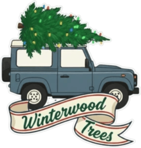 Winterwood Trees Winterwood Trees