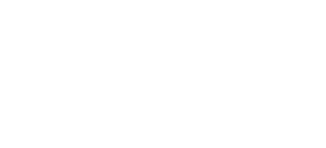 Nexus Nexus