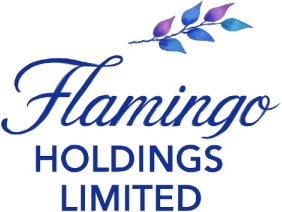 Flamingo Holdings Flamingo Holdings