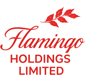 Flamingo Holdings Flamingo Holdings