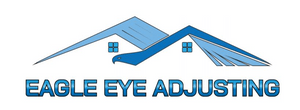 eagle eye adjusting logo eagle eye adjusting logo