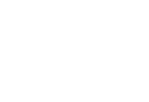 SecuAiGent SecuAiGent