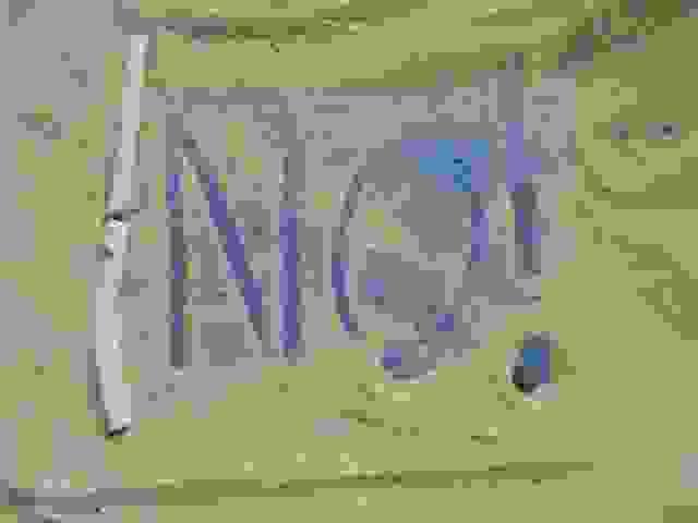 Section image