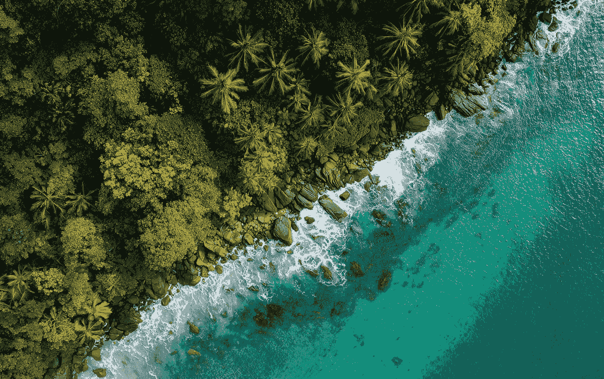 Aerial view of calm ocean meeting jungle representing organizational wellbeing and leadership reset Aerial view of calm ocean meeting jungle representing organizational wellbeing and leadership reset