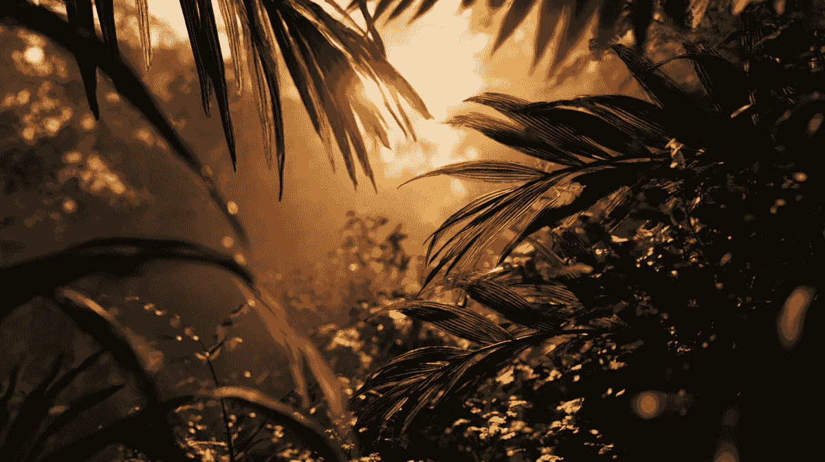 Sunlight breaking through tropical jungle leaves, representing environment-led nervous system regulation. Sunlight breaking through tropical jungle leaves, representing environment-led nervous system regulation.