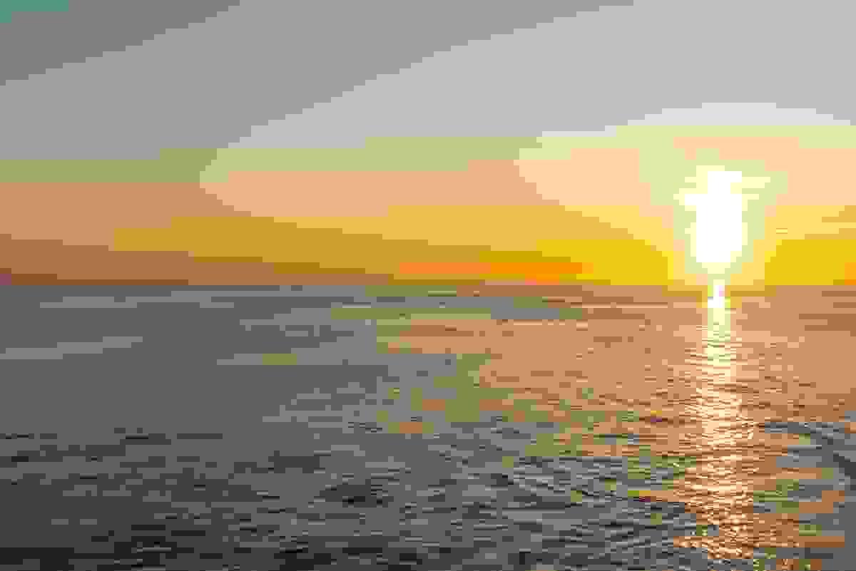 Section image
