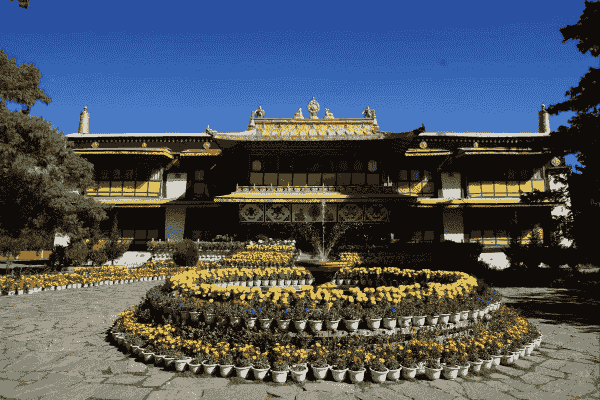 歴代のダライ・ラマが建てたいくつもの離宮があり、夏の離宮として使われました。メインの見所はダライ・ラマ14世が実際に生活していたタクテン・ミギュル・ポタン。ダライ・ラマ14世はここからインドへ亡命しました。ノルブとは宝、リンカとは公園のこと。現在は博物館兼公園で、休日や祝日には多くのチベット人で賑わいます。ショトゥン祭にはアチェ・ラモ(チベット・オペラ)が上演されます。 歴代のダライ・ラマが建てたいくつもの離宮があり、夏の離宮として使われました。メインの見所はダライ・ラマ14世が実際に生活していたタクテン・ミギュル・ポタン。ダライ・ラマ14世はここからインドへ亡命しました。ノルブとは宝、リンカとは公園のこと。現在は博物館兼公園で、休日や祝日には多くのチベット人で賑わいます。ショトゥン祭にはアチェ・ラモ(チベット・オペラ)が上演されます。