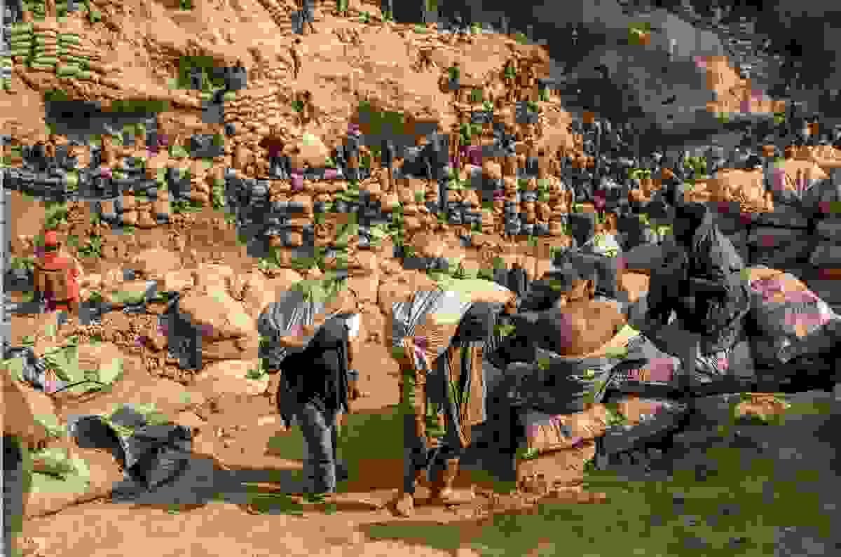 Section image
