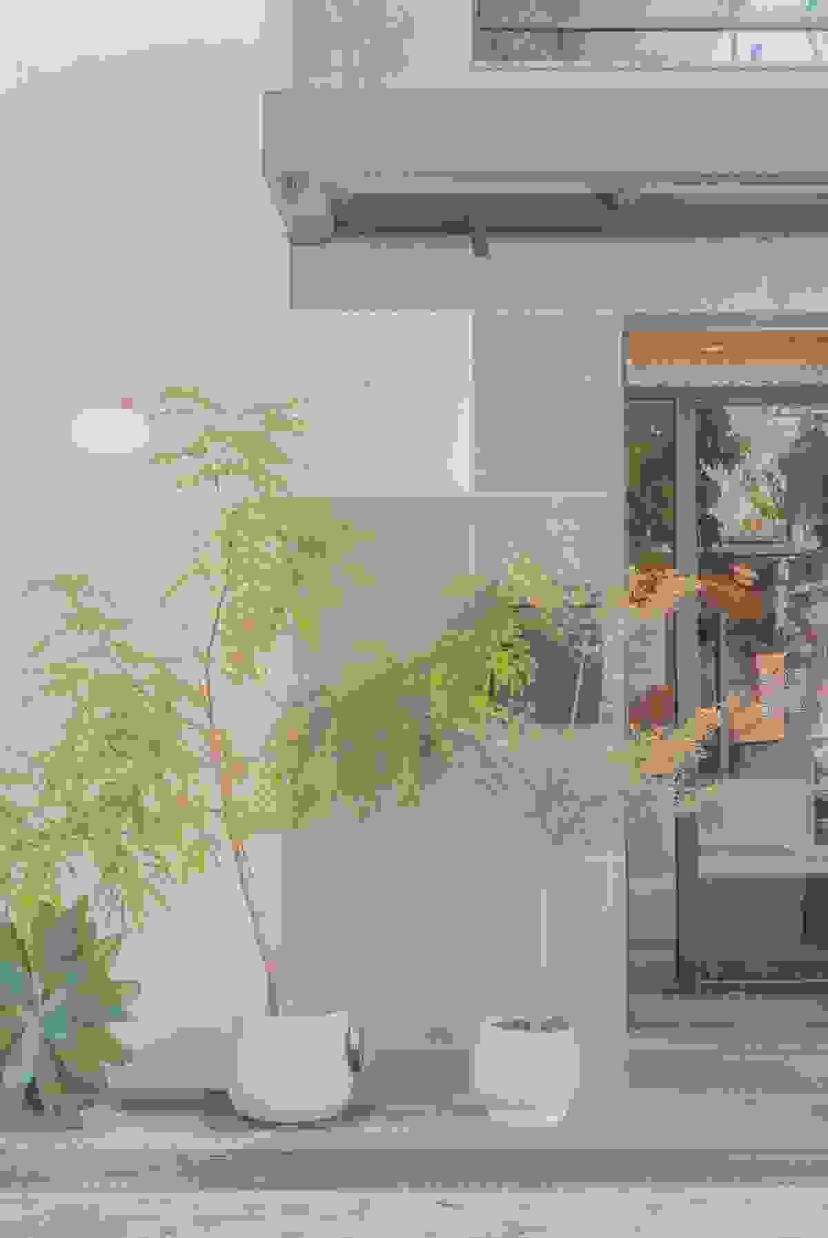 Section image