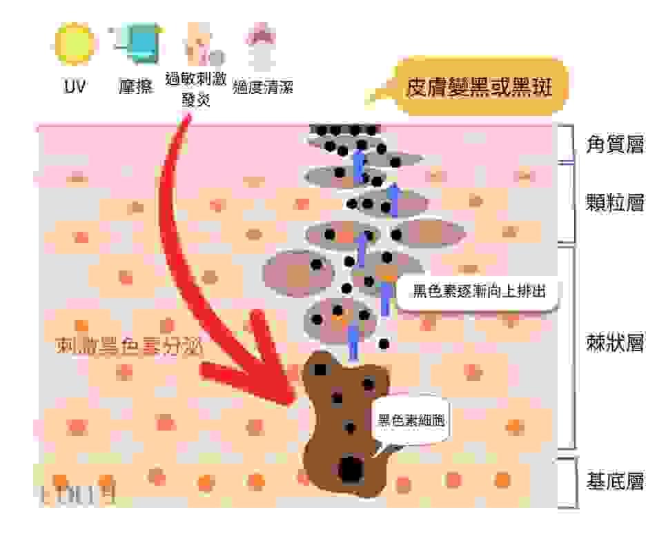 Section image