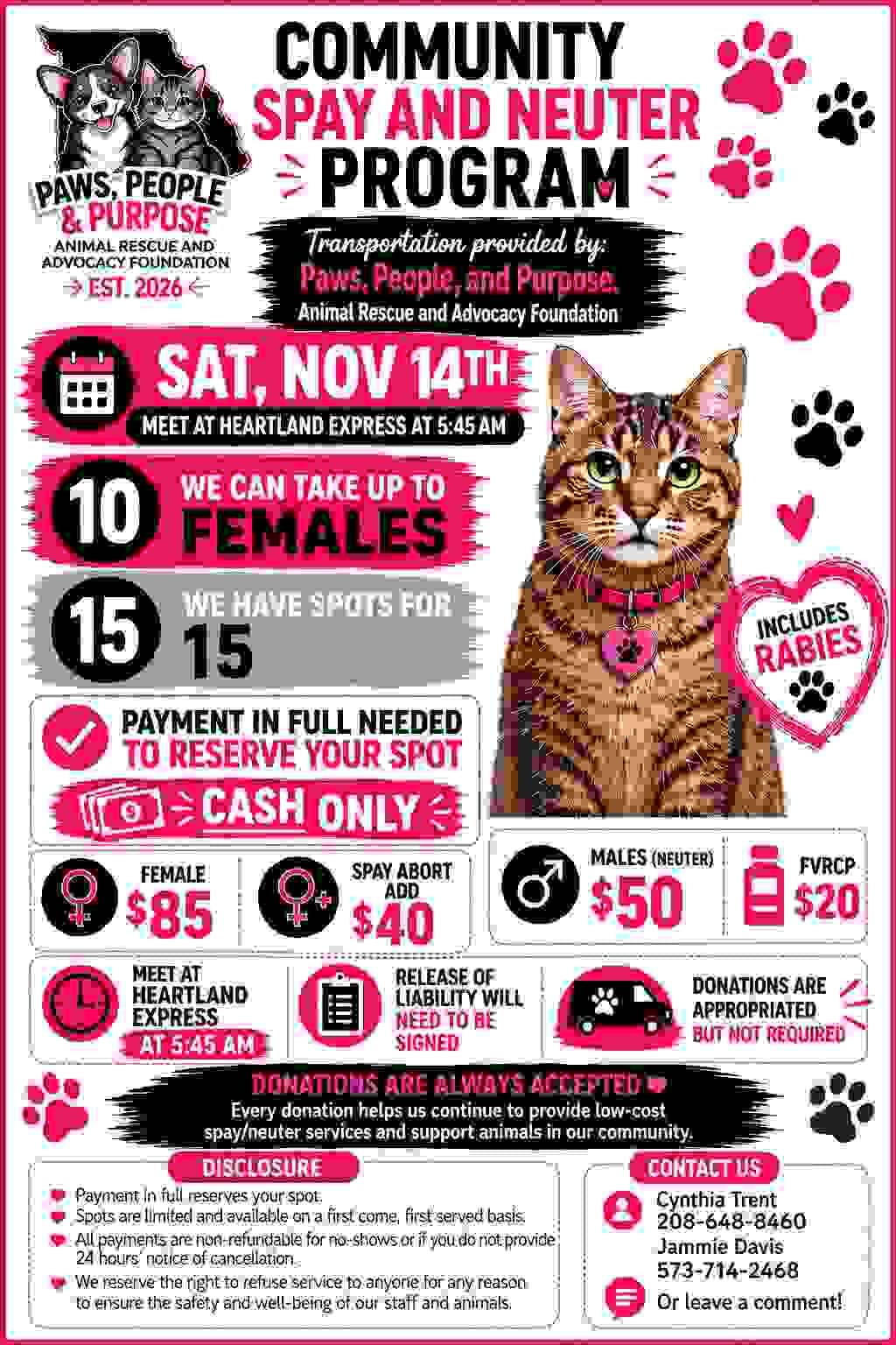 Access valuable resources and guidance on pet care, training, and health to ensure your new furry family member thrives in their forever home. Pet Care Resources Our Mission Connect furbabies to forever homes Access valuable resources and guidance on pet care, training, and health to ensure your new furry family member thrives in their forever home. Pet Care Resources Our Mission Connect furbabies to forever homes