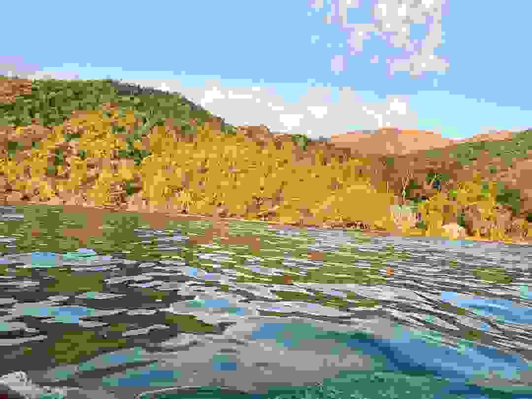 Section image