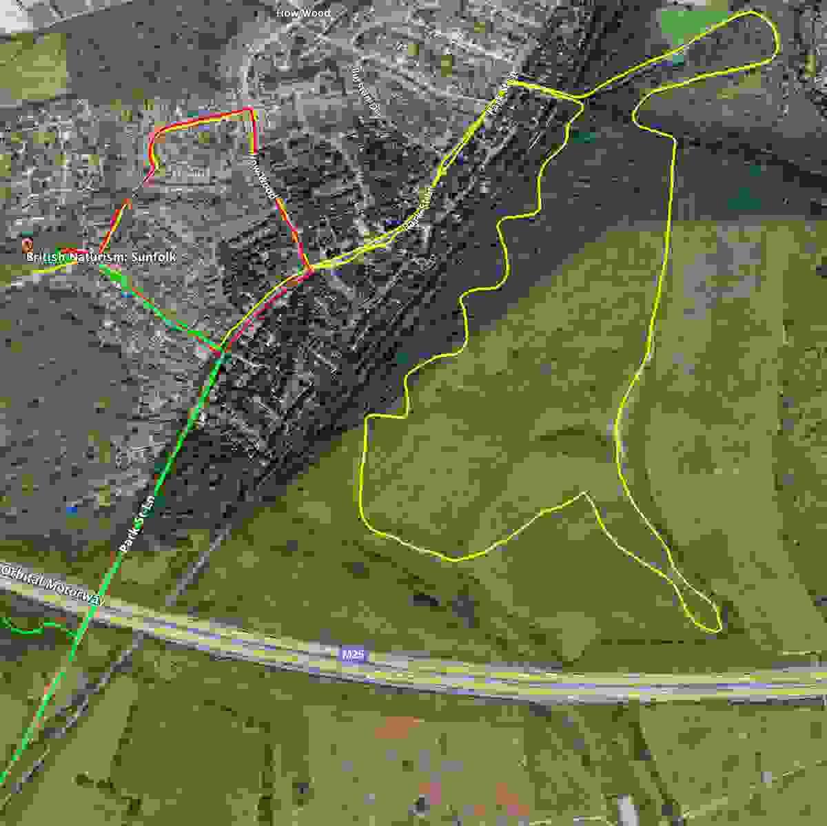 Section image