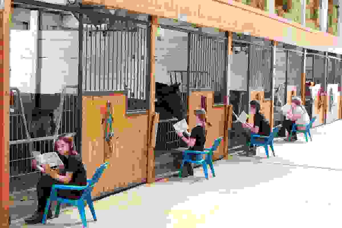 Section image