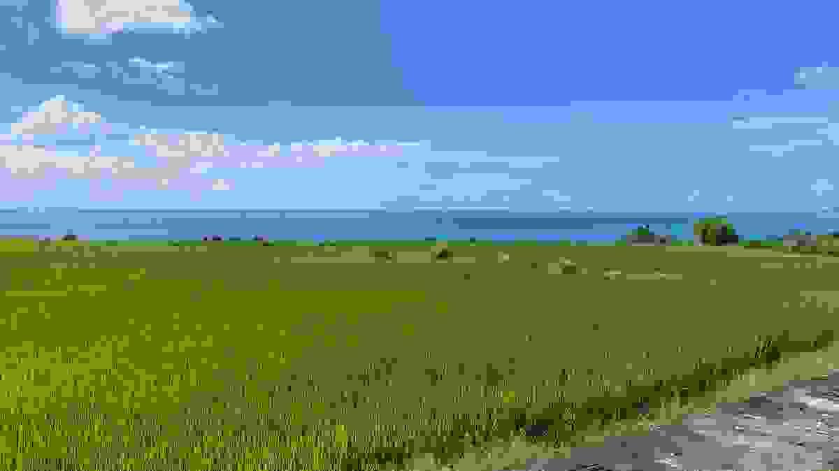 Section image