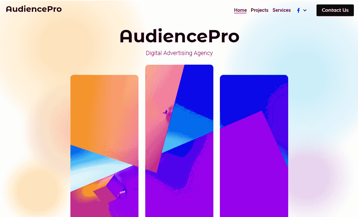 AudiencePro Template