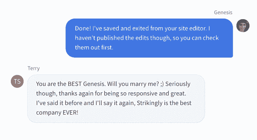 Strikingly Chat Support