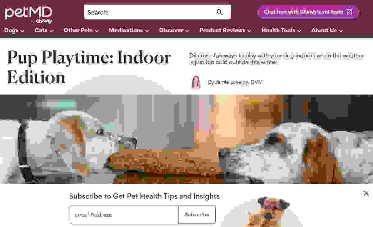 Image taken from PetMD