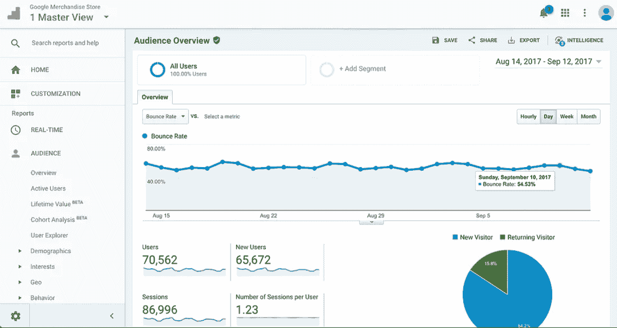 Image taken from Google Analytics 