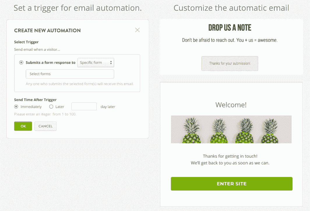 Strikingly Automated Email Feature