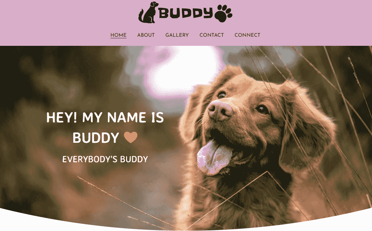 Buddy Template