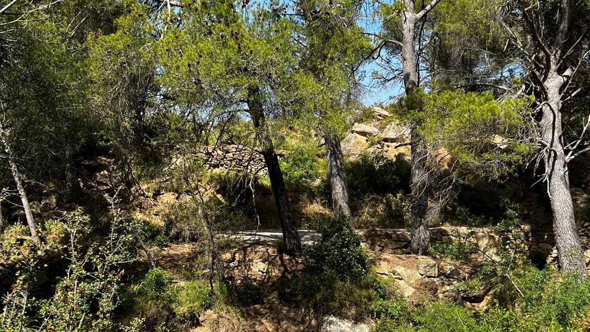 Terrains à batir contructibles Bize-Minervois Plan et terre aménageur lotisseur. Terrains à batir contructibles Bize-Minervois Plan et terre aménageur lotisseur.