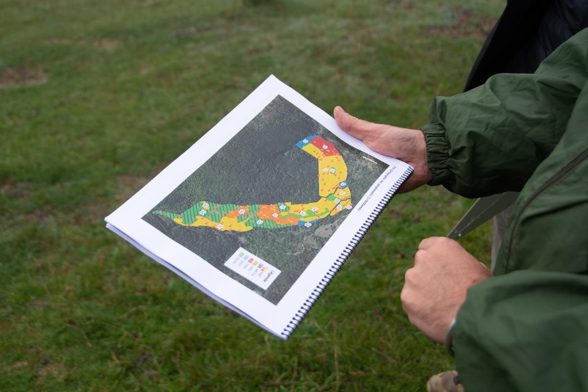 Section image