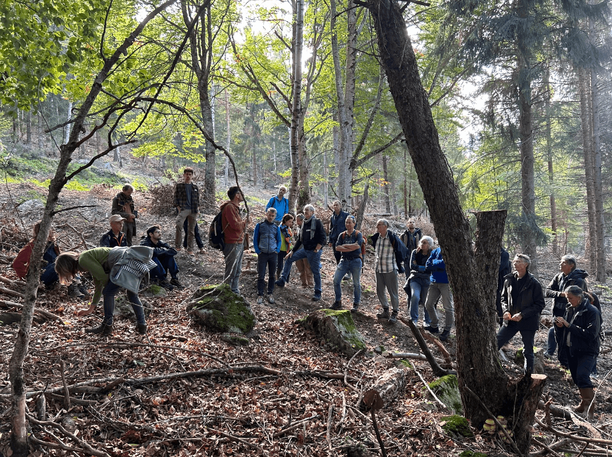 Sortie en forêt - Rencontres d'automne de Forêts Partagées 2025 Sortie en forêt - Rencontres d'automne de Forêts Partagées 2025