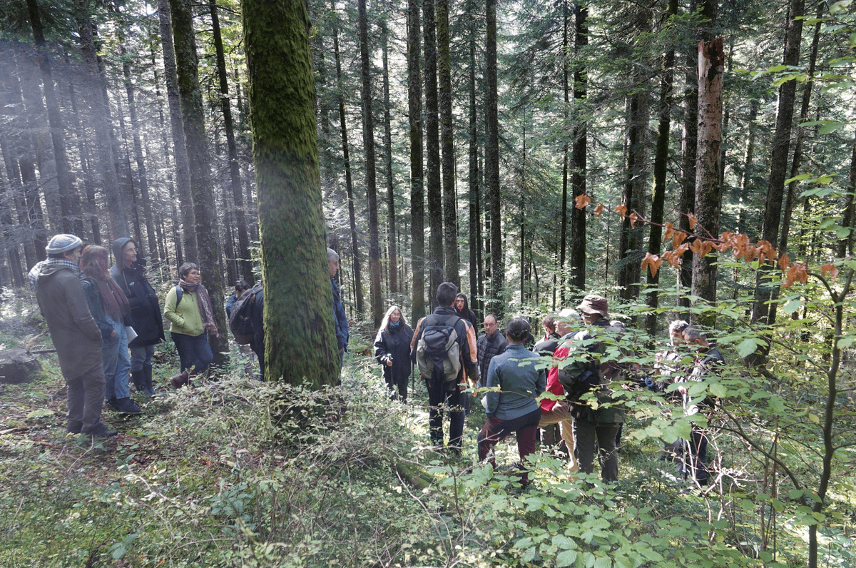 Rencontres d'automne 2024 dans le Vercors Rencontres d'automne 2024 dans le Vercors