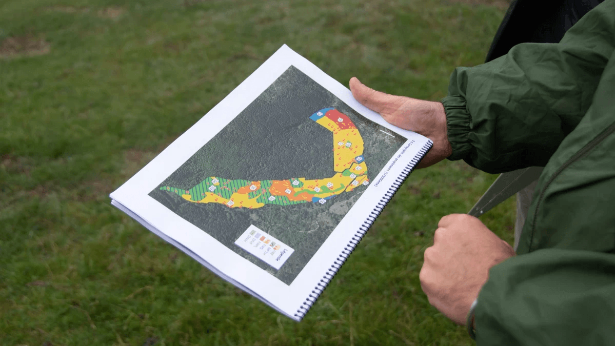 Section image