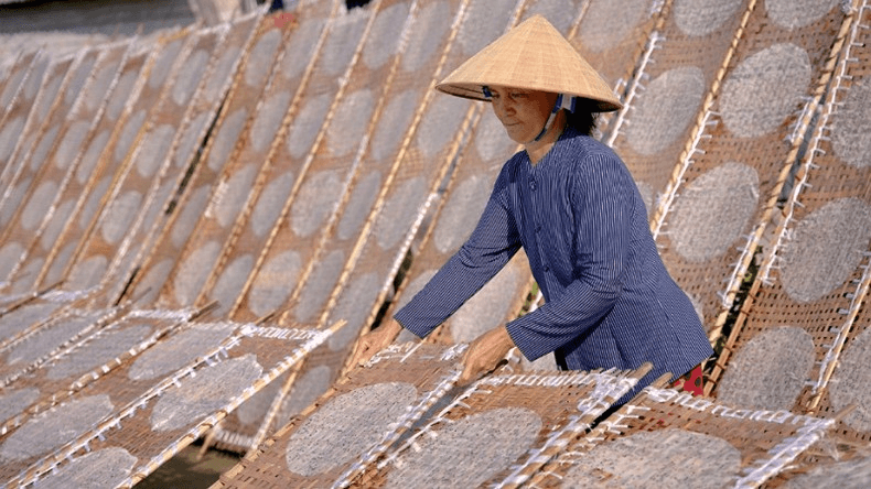 Traditional Vietnamese rice paper (Bánh tráng) drying on bamboo racks under the sun.越南傳統手工米餅 Bánh tráng 製作過程,一張張薄薄的米漿皮正在竹編架上日曬乾燥。 Traditional Vietnamese rice paper (Bánh tráng) drying on bamboo racks under the sun.越南傳統手工米餅 Bánh tráng 製作過程,一張張薄薄的米漿皮正在竹編架上日曬乾燥。