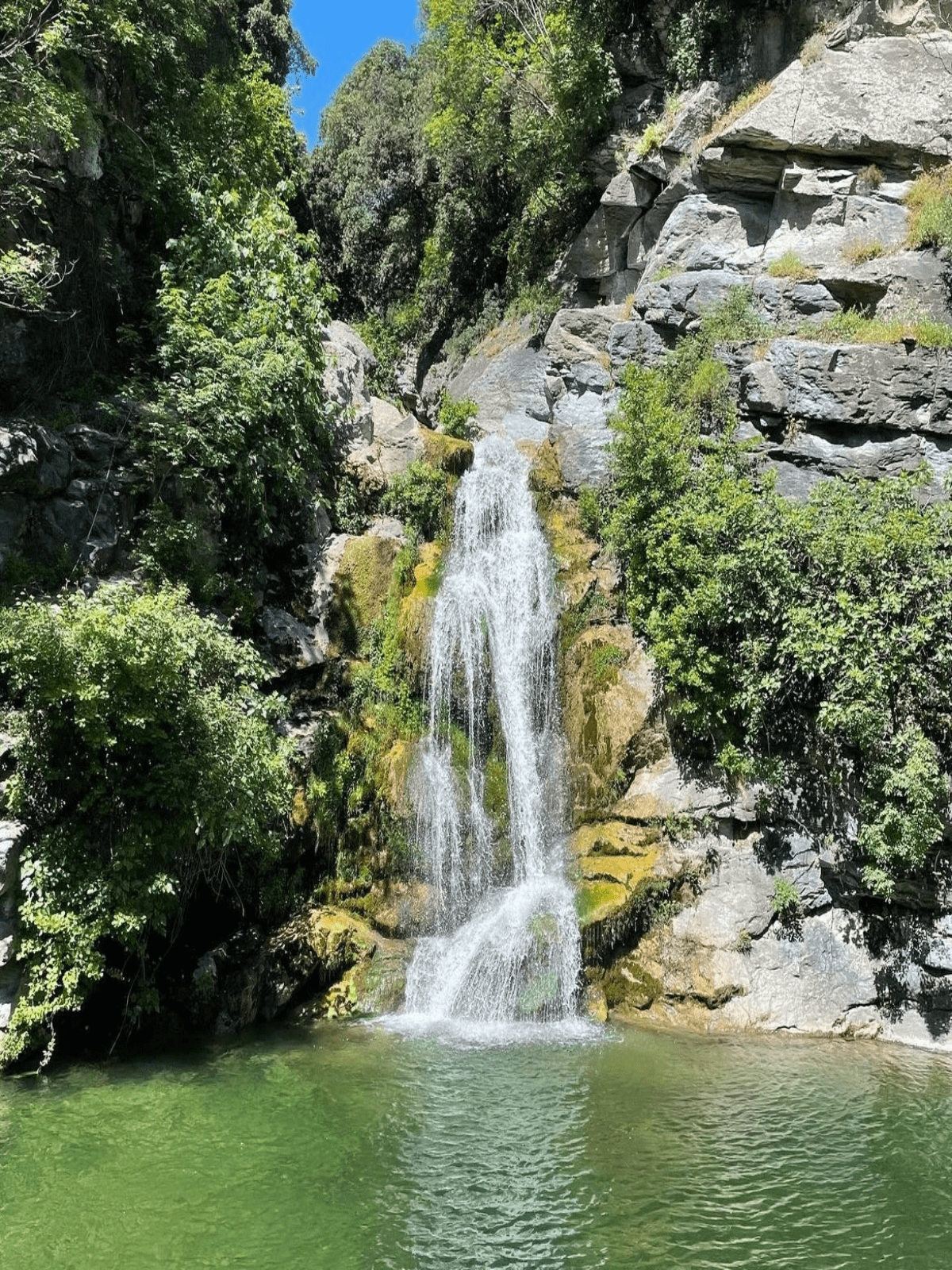 Section image