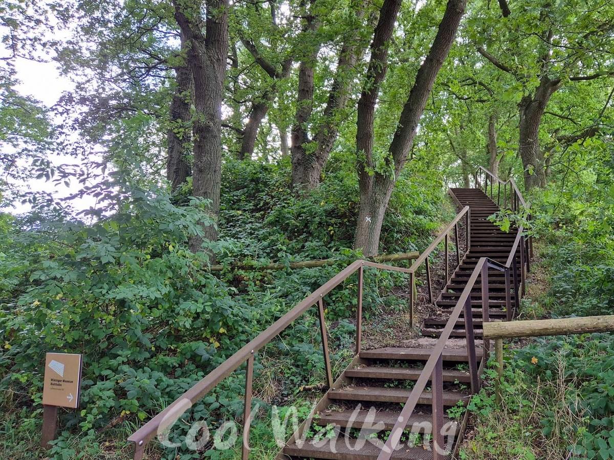 Section image