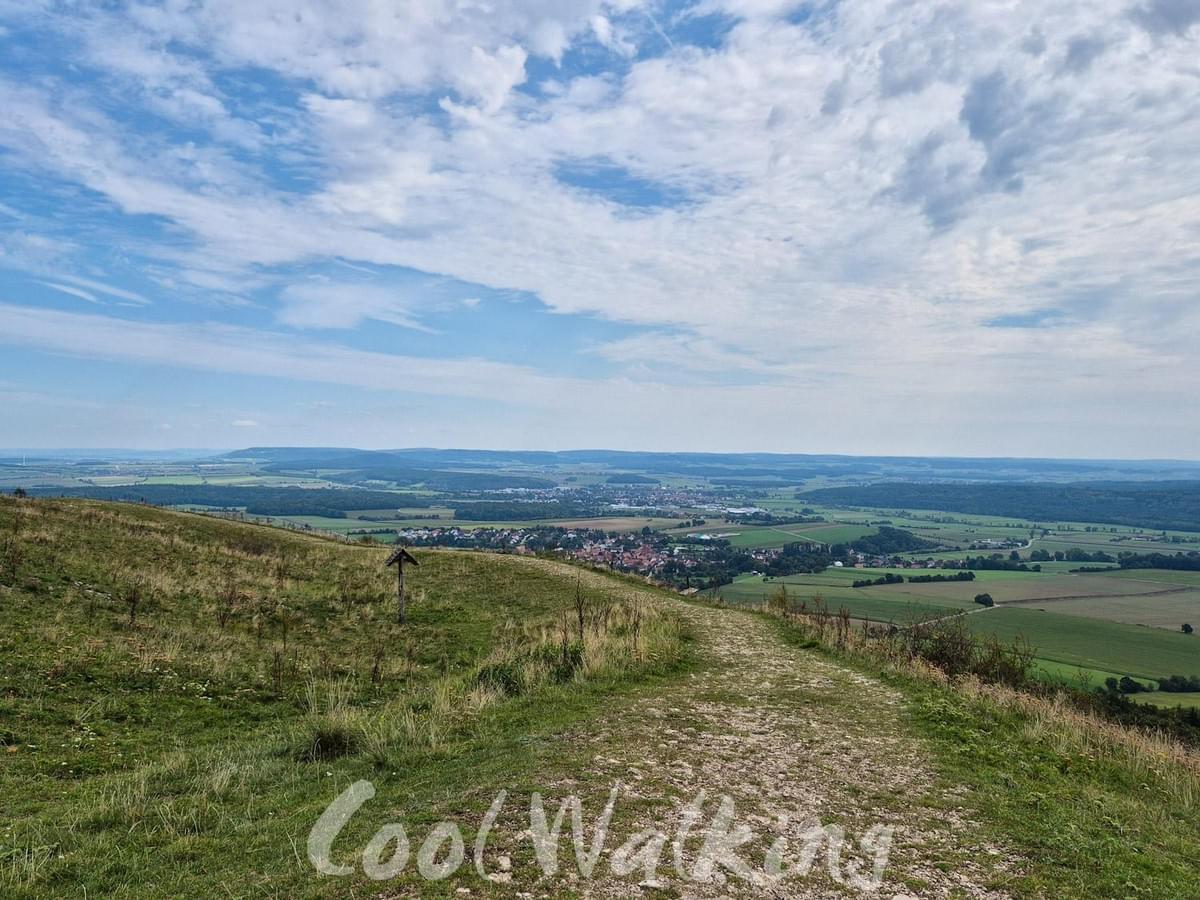 Section image