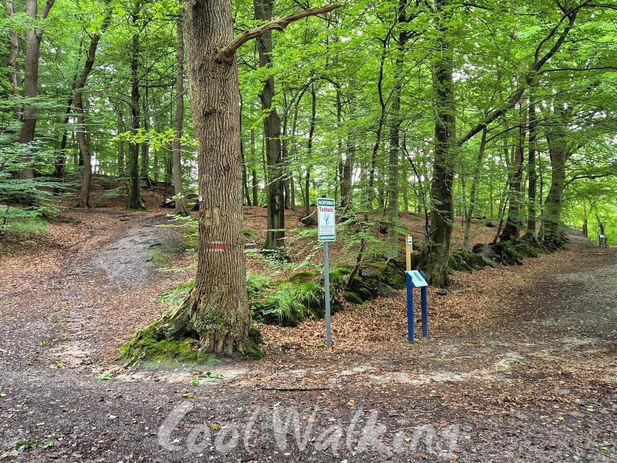 Section image