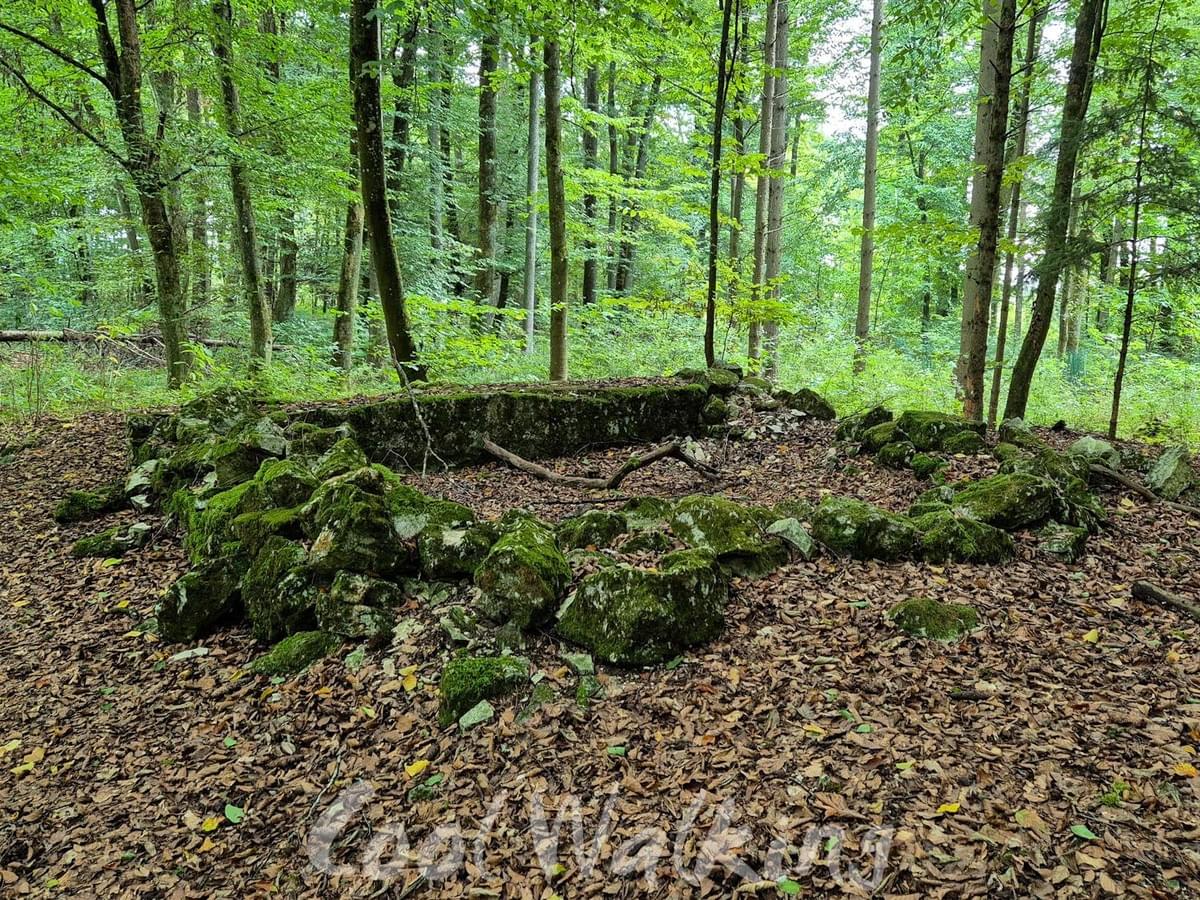 Section image