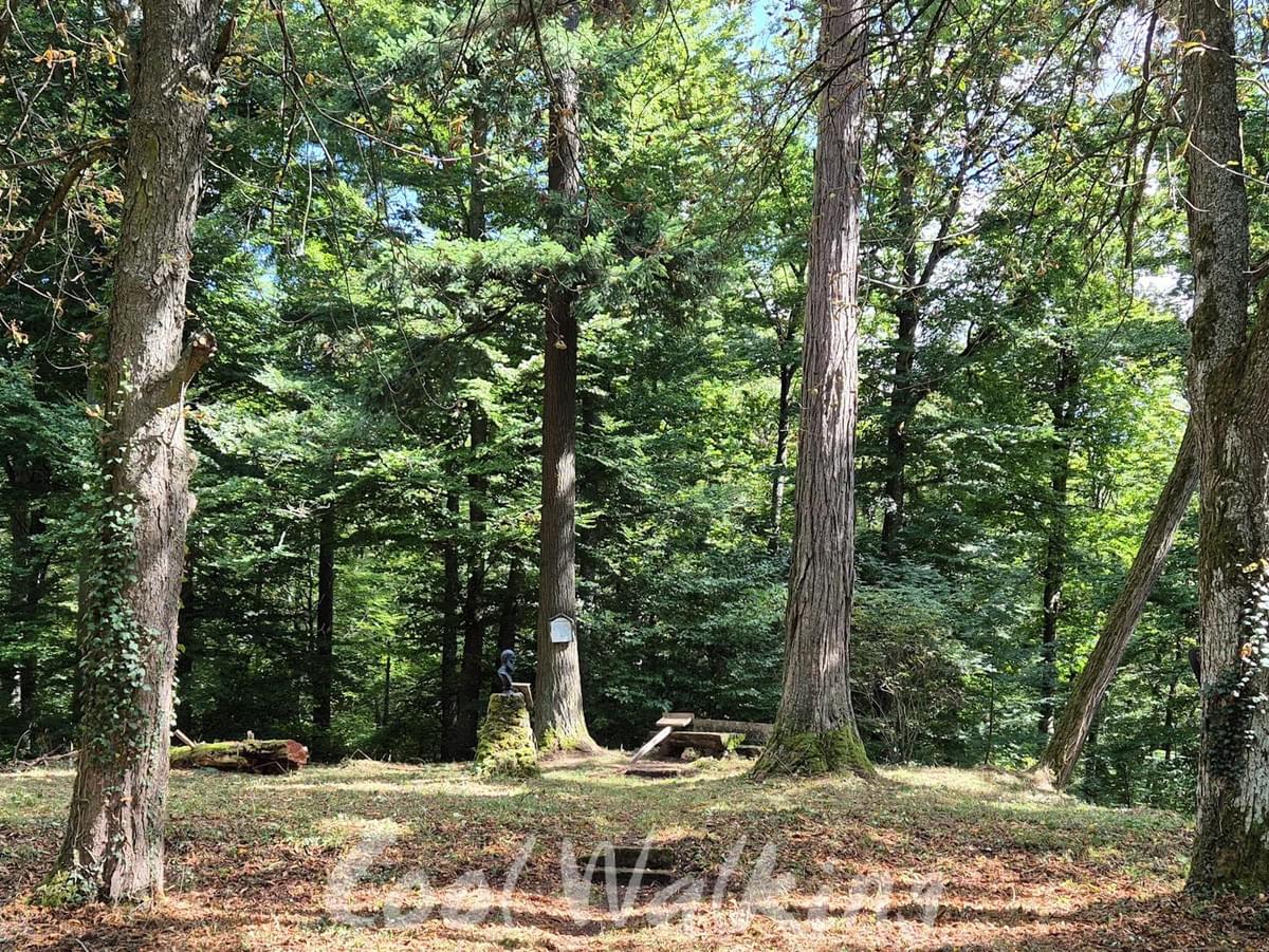 Section image