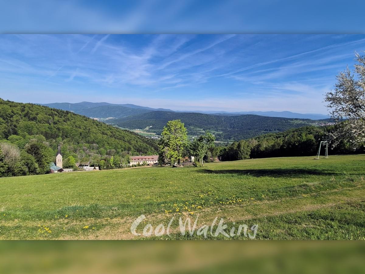 Section image