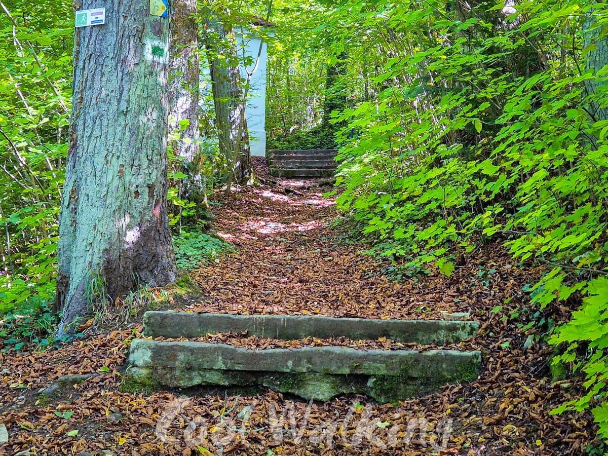 Section image