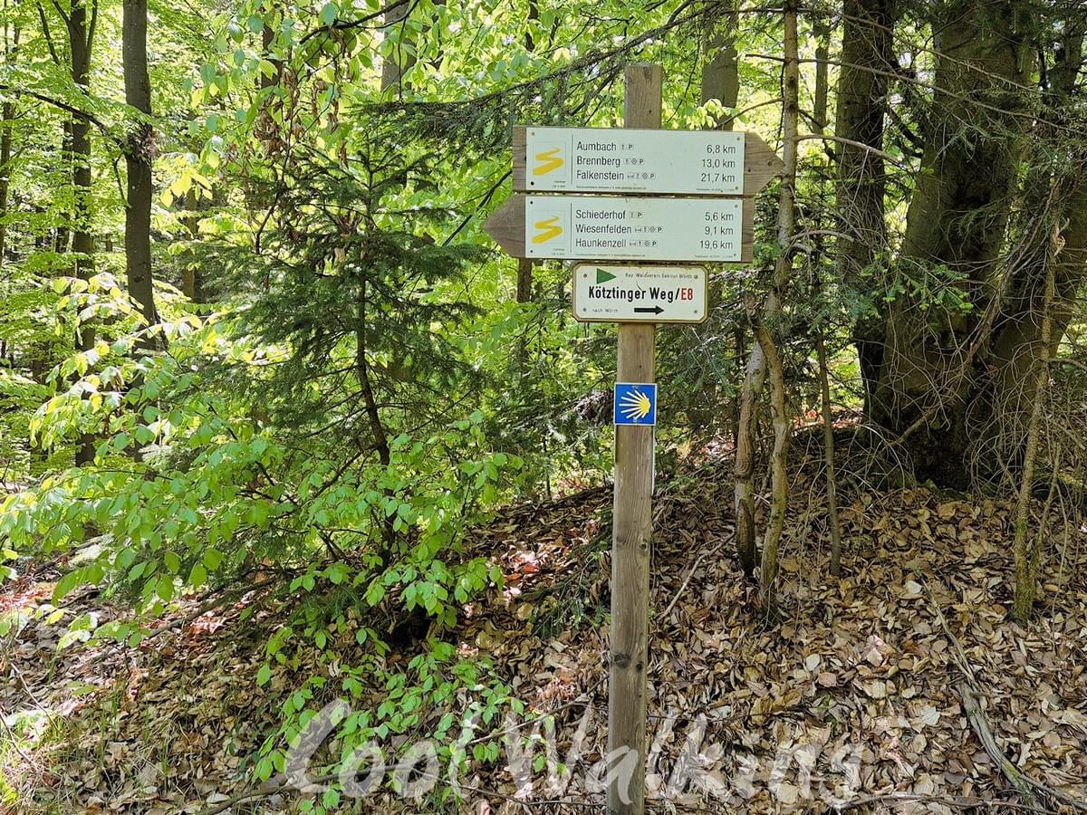 Section image